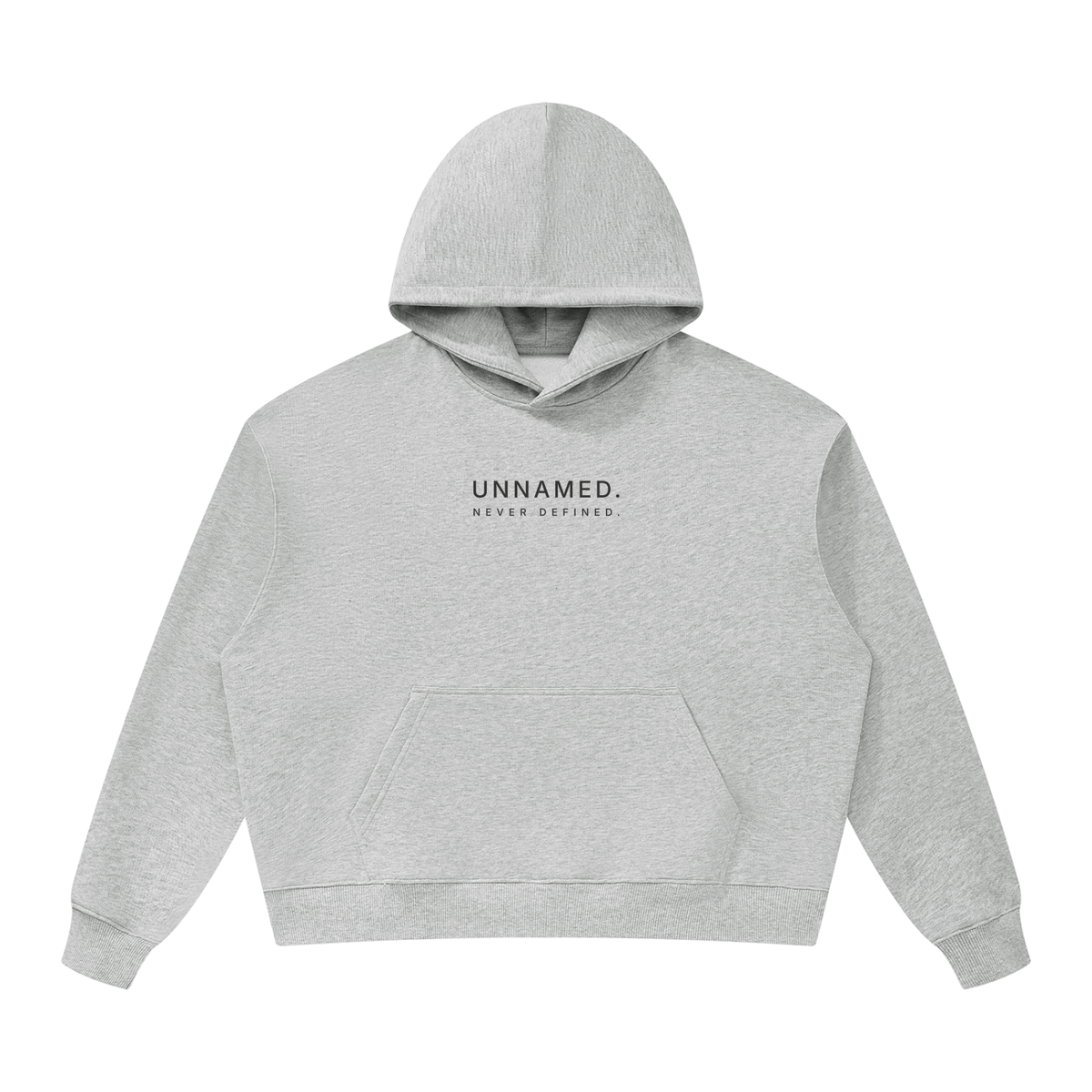 Never Defined Hoodie · Grey — front